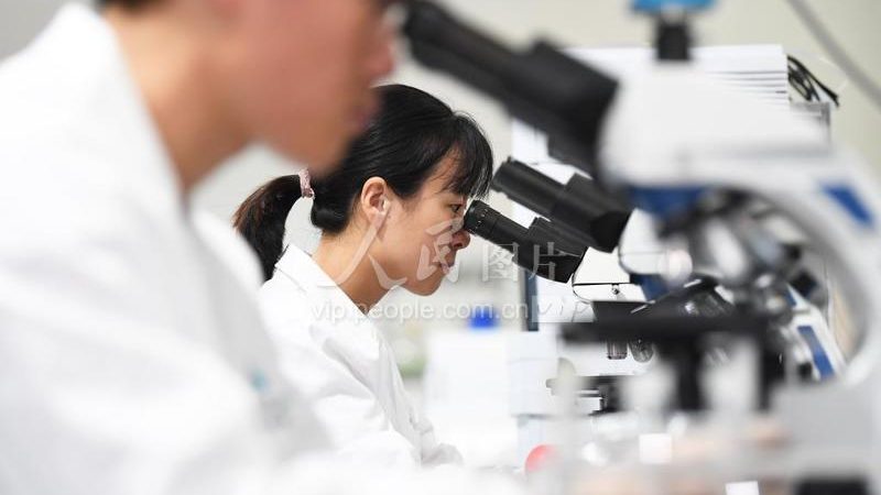 生物科技产品研发：揭秘从实验室到市场的每一步**