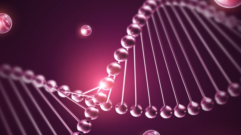 荧光定量PCR试剂盒：揭秘其代理加盟背后的关键要素**