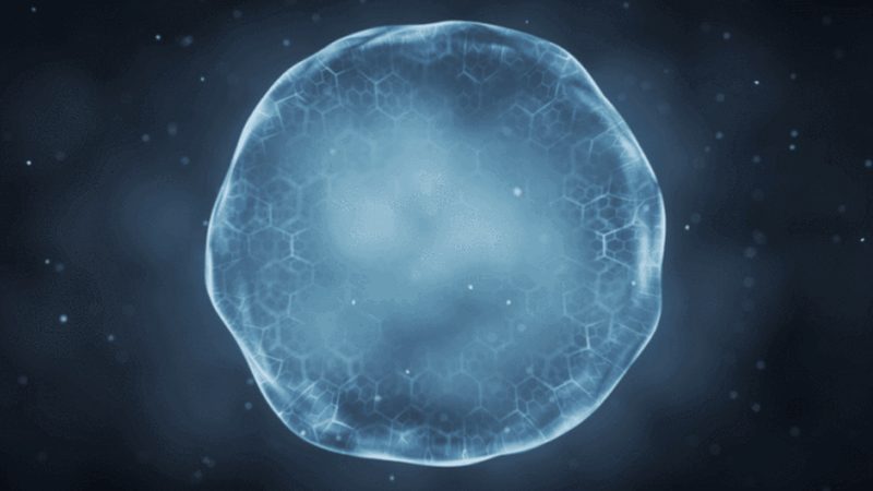 生物试剂生产厂家资质，你了解多少？**