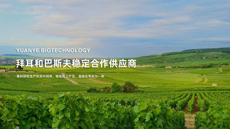 基因检测：揭秘成都十大品牌背后的技术实力与合规标准