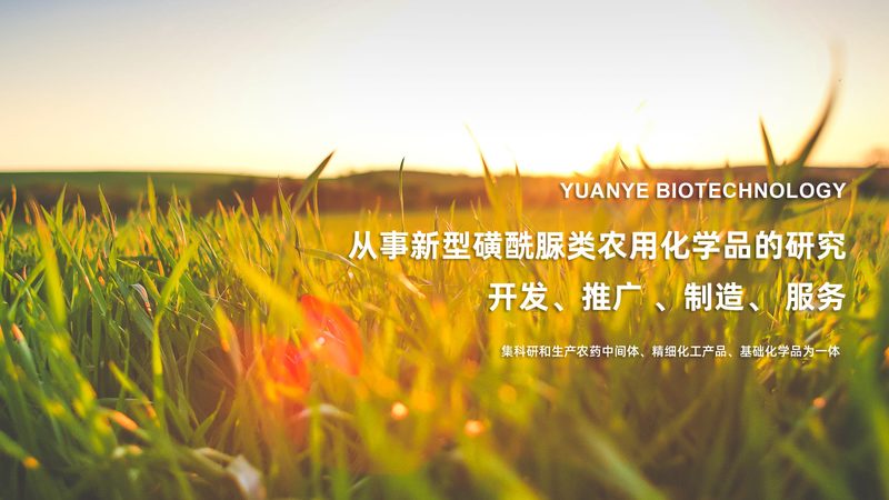 实验室耗材：如何选择合适的厂家直销定制方案