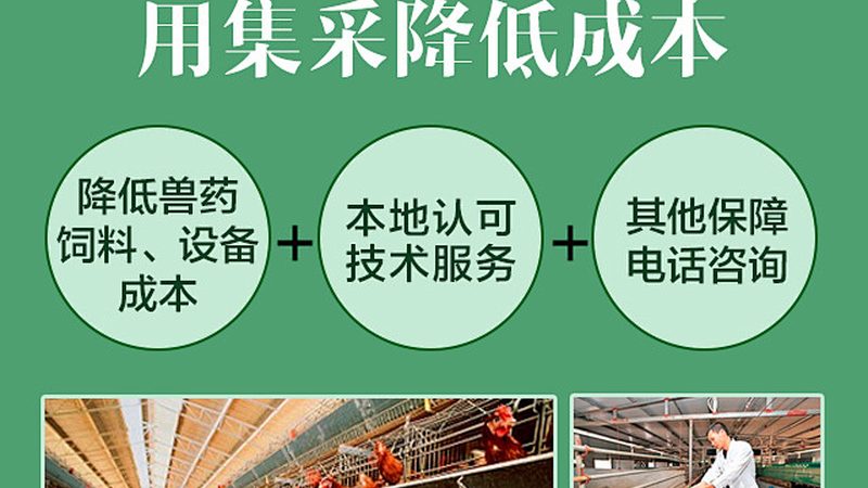 广州细胞培养基：种类分类解析