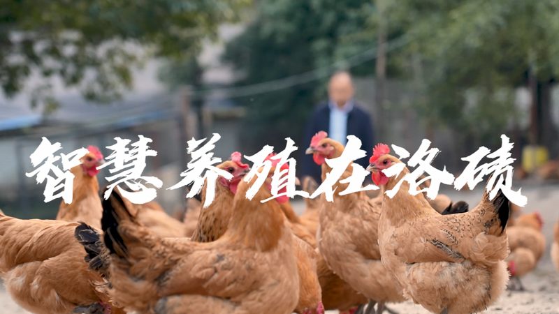肿瘤基因检测：基因编辑治疗的关键一步**