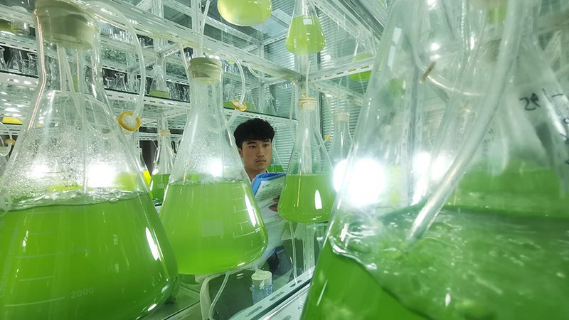细胞培养基，研发路上的得力助手**